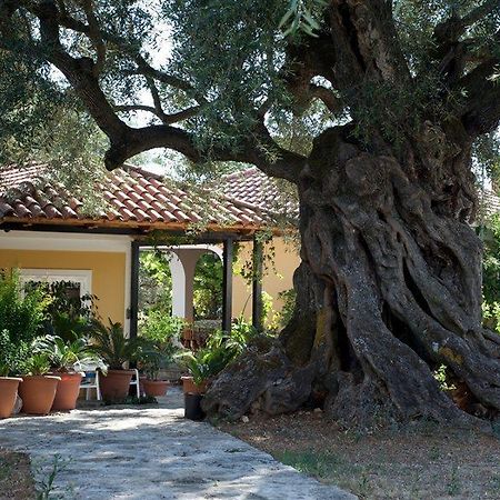 Villa Christina ไซคิย์นธอสทาวน์ ภายนอก รูปภาพ