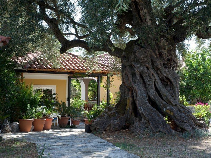 Villa Christina ไซคิย์นธอสทาวน์ ภายนอก รูปภาพ